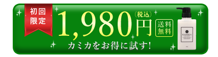 初回限定1,980円(税込) 送料無料