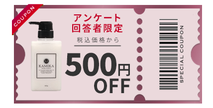 アンケート回答者限定 税込価格から500円OFF