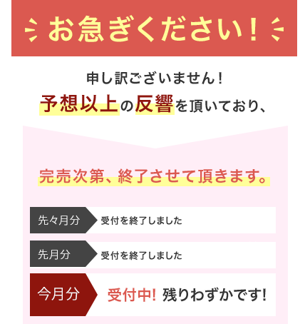 完売次第、終了させて頂きます。